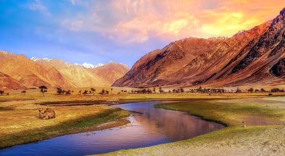 Scenic sunrise at Nubra valley Ladakh with view of mountain landscape and Bactrian camel.